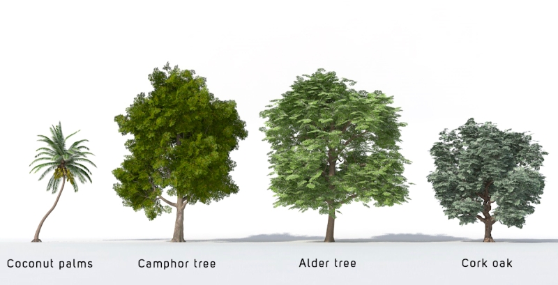 3D Trees - Volume 23
