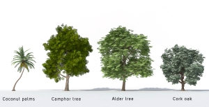 3D Trees - Volume 23